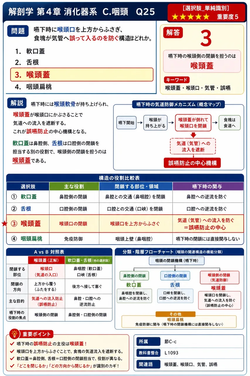 咽頭前面に開く3つの開口部の上から下への並びとして正しいのはどれか。 解説図