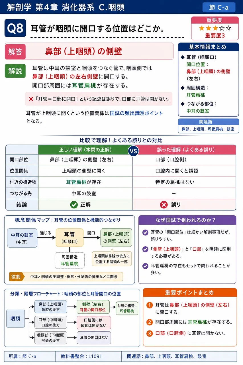 食道が咽頭に続いて始まる高さは、第( ① )頸椎である。空欄に入る数字を答えよ。 解説図