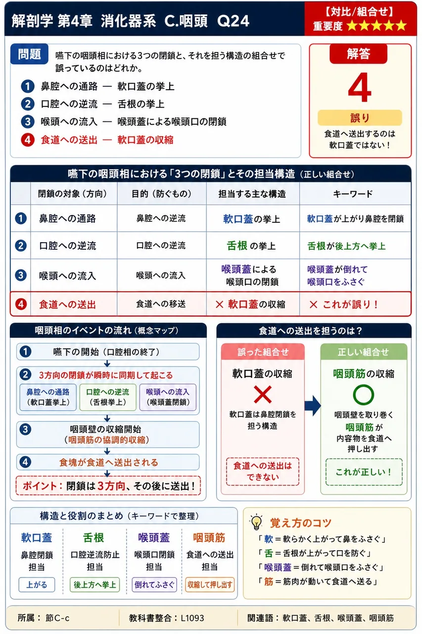 食道の第2生理的狭窄部を形成する解剖学的要因の組み合わせとして正しいのはどれか。 解説図