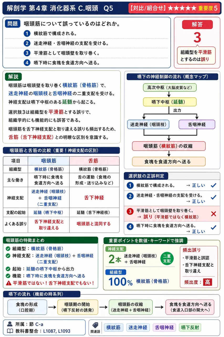 食道の生理的狭窄部と椎体高位の組合せで正しいのはどれか。 解説図
