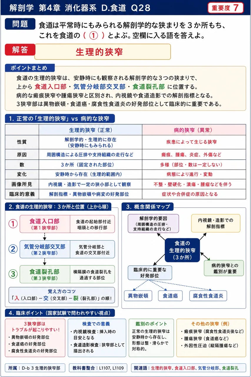 食道裂孔ヘルニアの病態として正しいのはどれか。 解説図