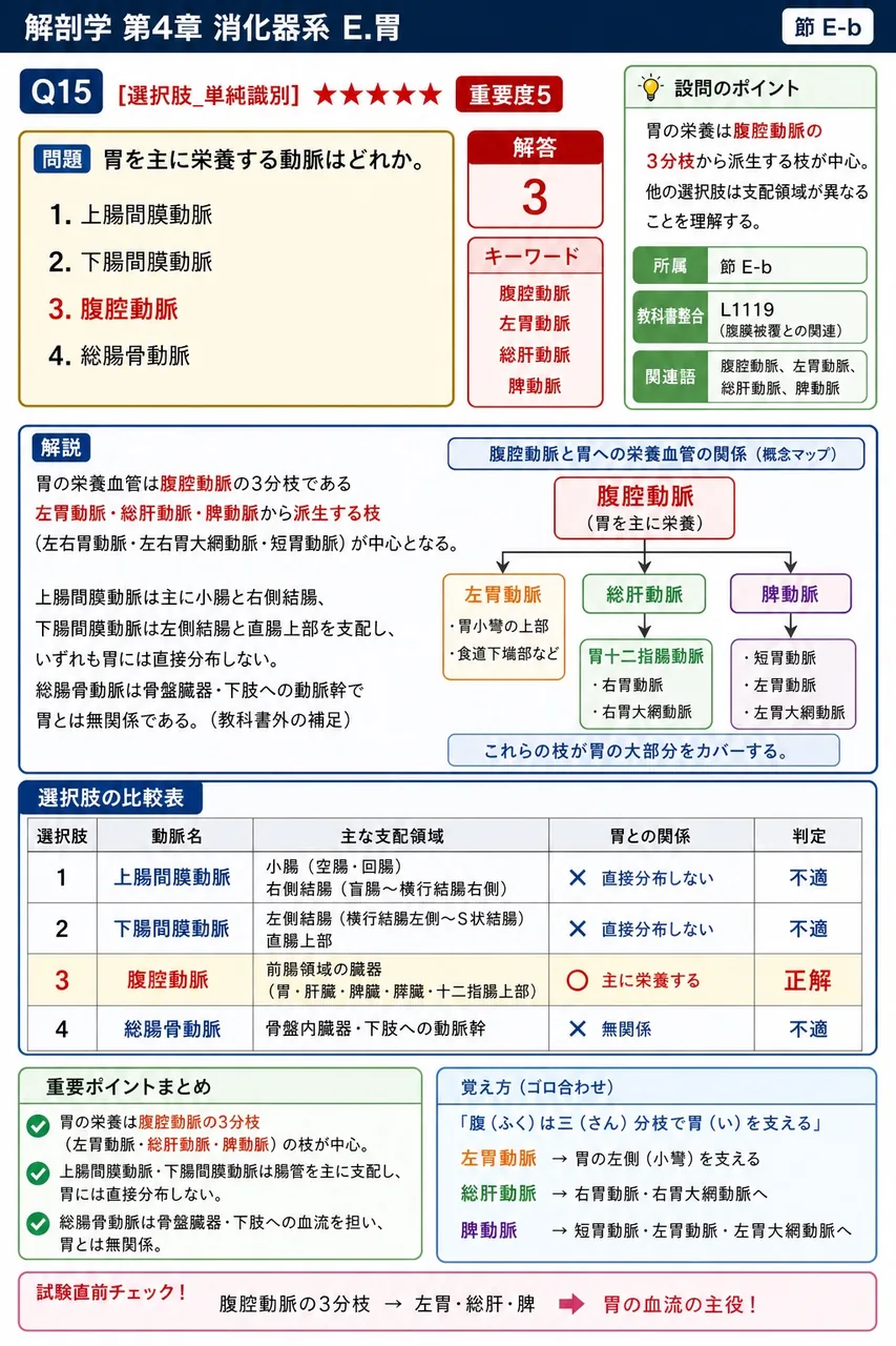 胃間膜について正しいのはどれか。 解説図