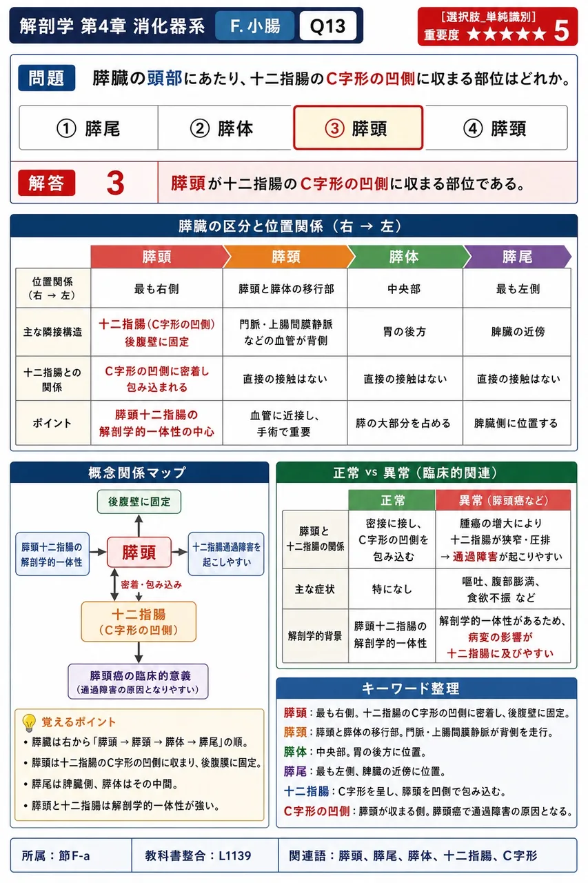 小腸について正しいのはどれか。 解説図