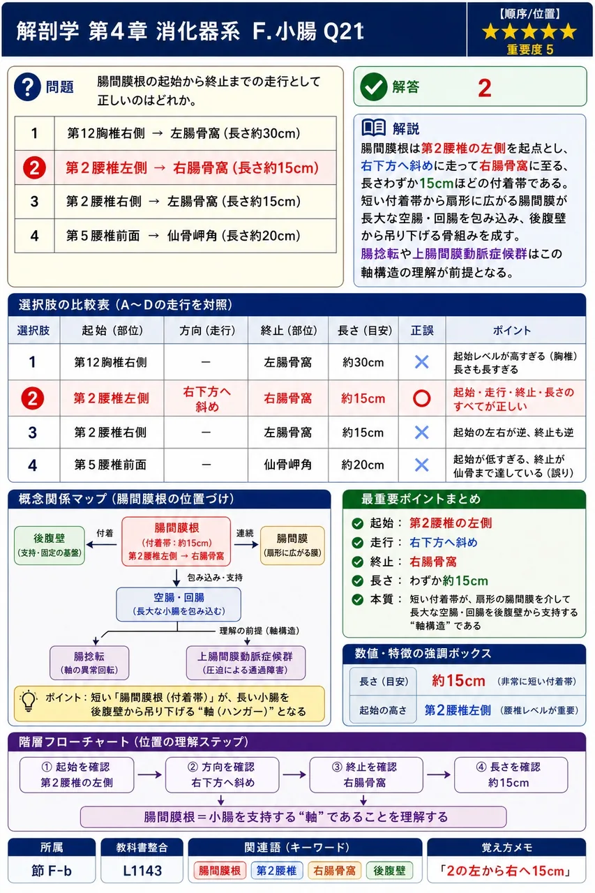 十二指腸が直接続いている胃の出口部分を何というか。 解説図