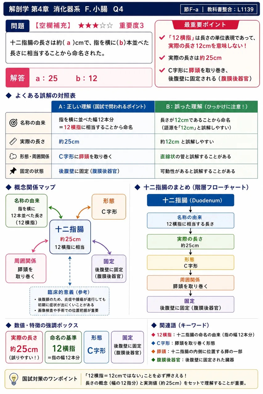 十二指腸の長さは約( a )cmで、指を横に( b )本並べた長さに相当することから命名された。 解説図