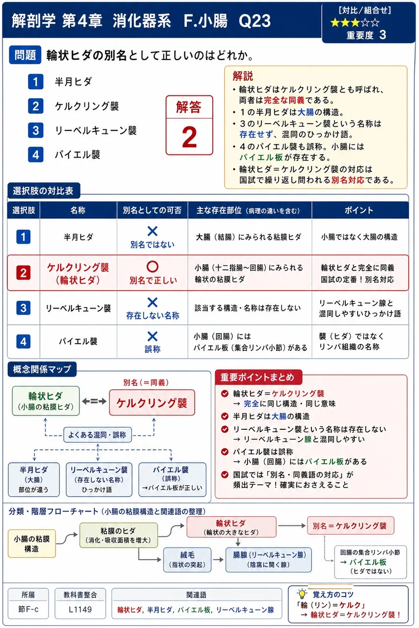 輪状ヒダの別名として正しいのはどれか。 解説図