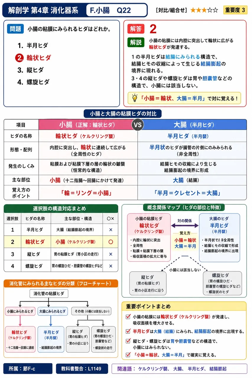 小腸粘膜上皮の自由面を覆う長さ約1µmの突起を( a )といい、その間に粘液を分泌する( b )が点在する。 解説図