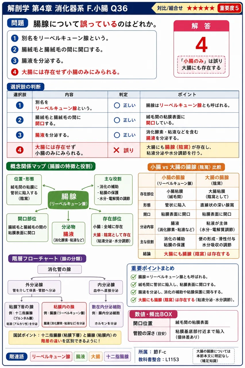 小腸粘膜上皮の発生学的由来として正しいのはどれか。 解説図