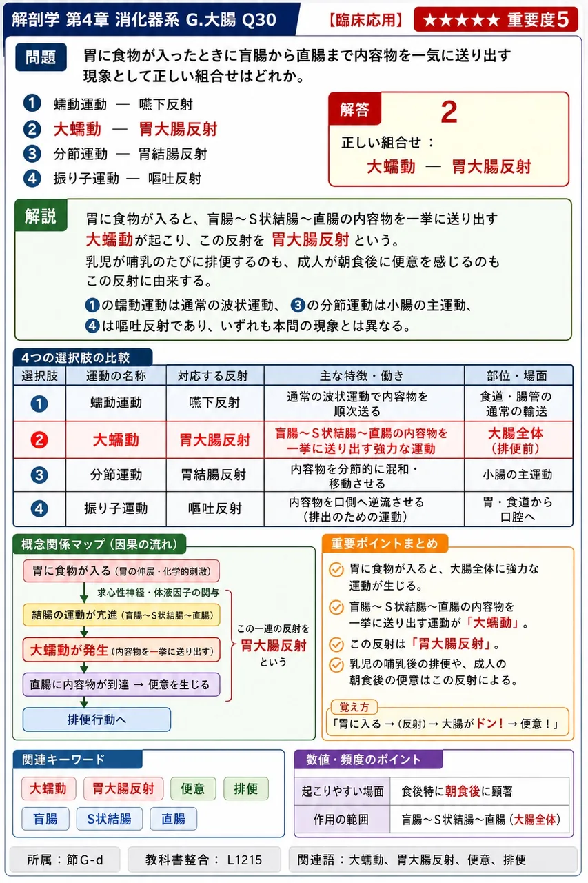 大腸の大部分を占め、走行に従い4つの部分に細分される消化管部位を( )という。 解説図