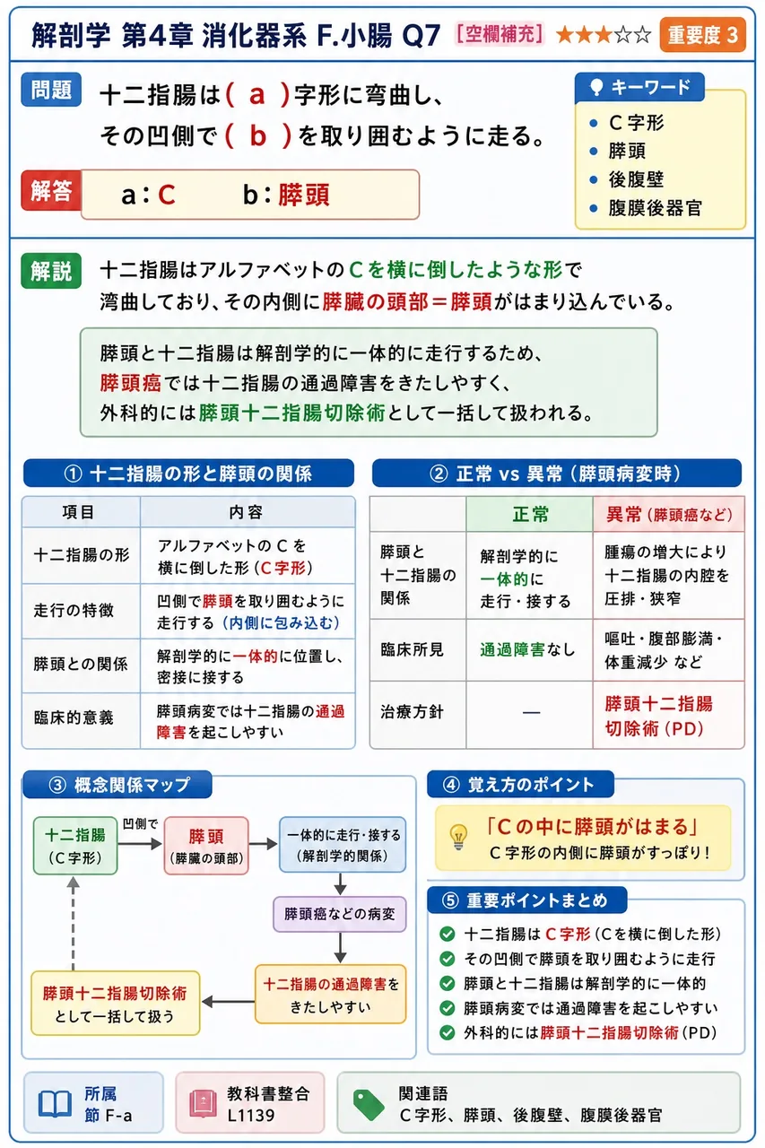 横行結腸の特徴として正しいのはどれか。 解説図