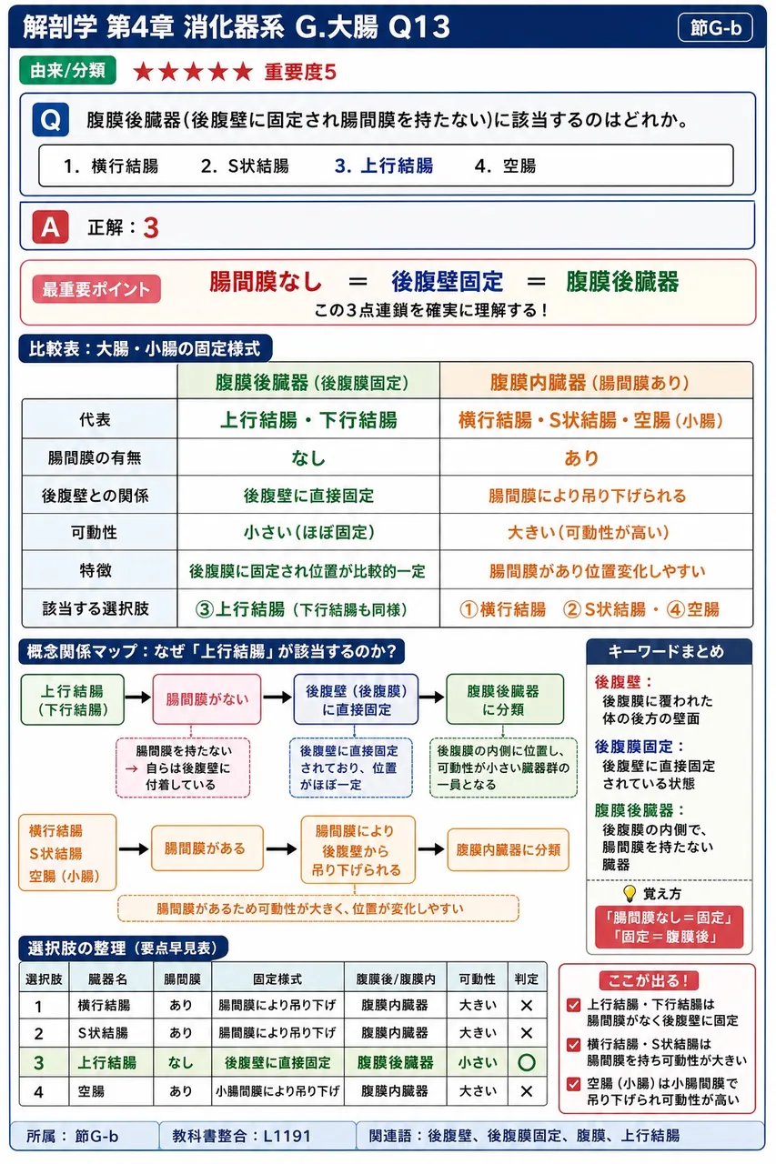 腸間膜を持つ結腸の組合せとして正しいのはどれか。 解説図