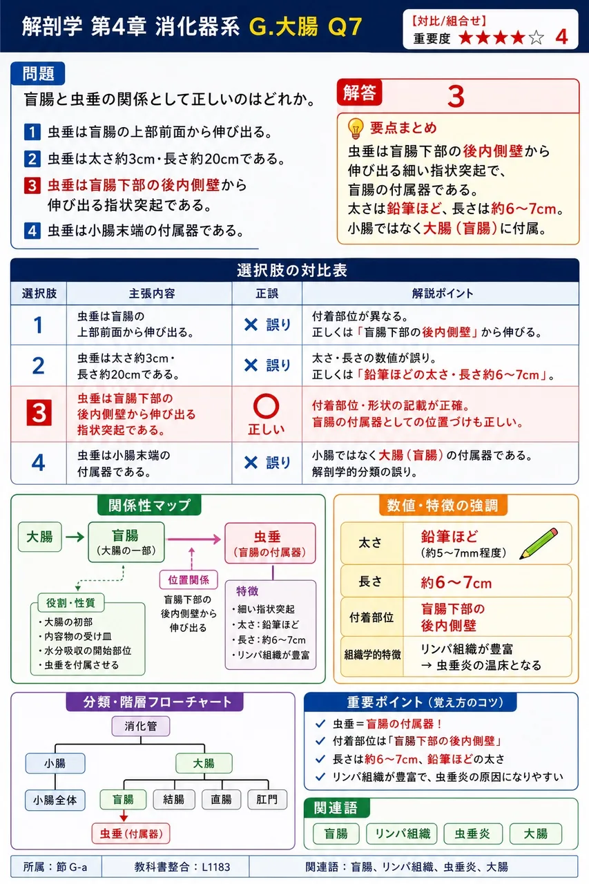 肝門を通過する構造について正しいのはどれか。 解説図