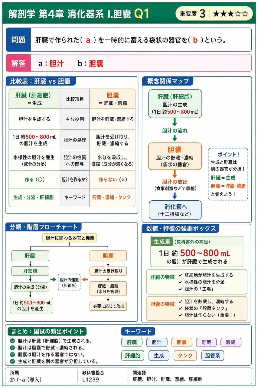 胆道について正しいのはどれか。 解説図