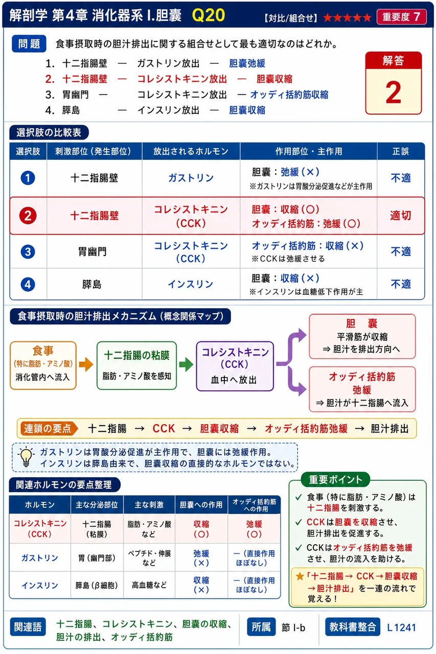 食間期(空腹時)に胆汁が流れる方向として正しいのはどれか。 解説図