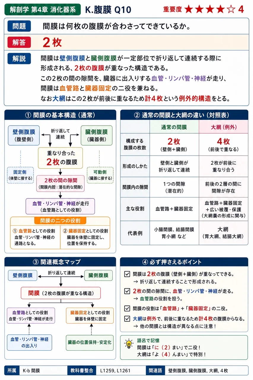 胃と腹膜ヒダの起点に関する組合せで正しいのはどれか。 解説図