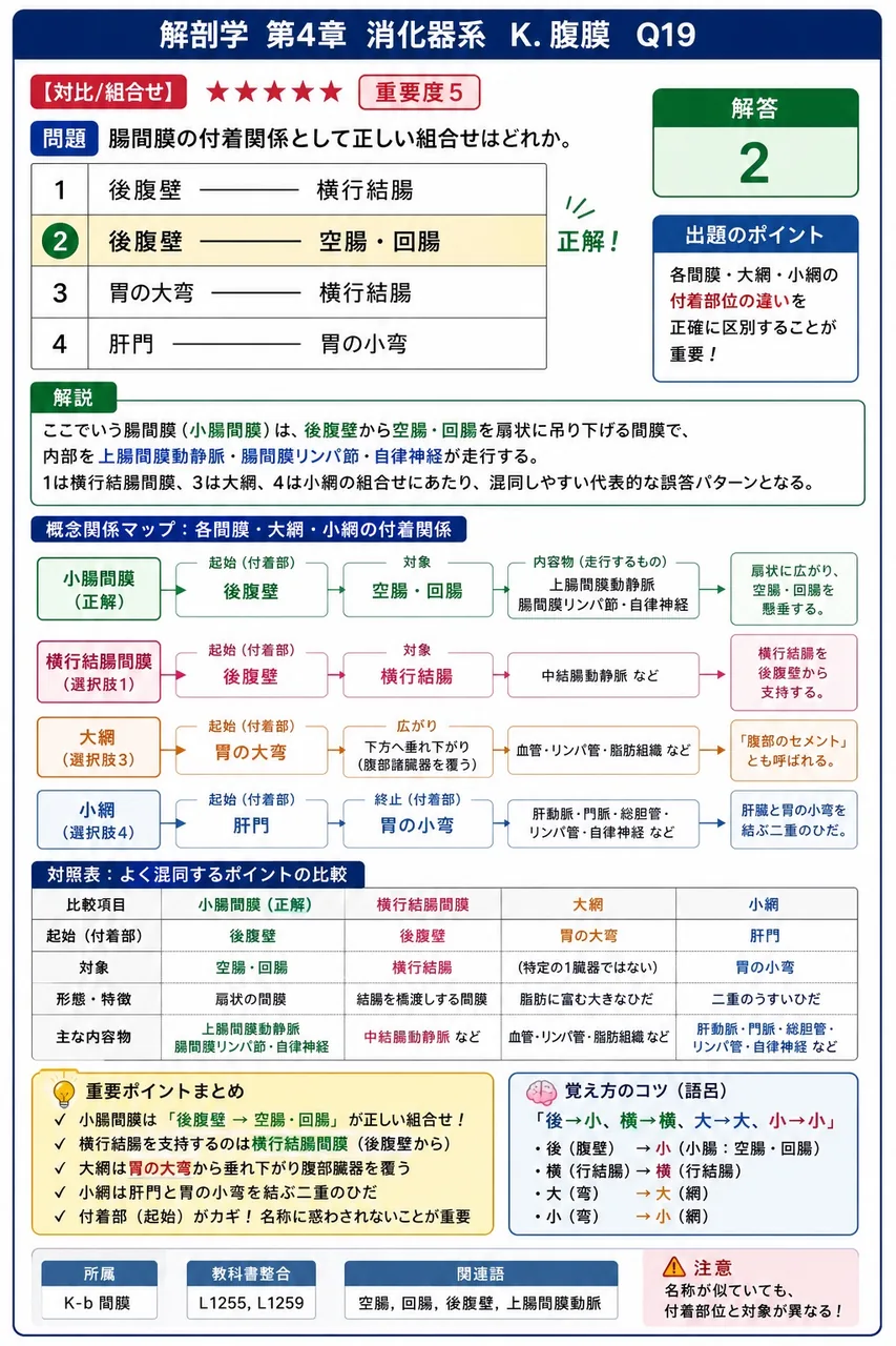 S状結腸間膜の付着関係として正しい組合せはどれか。 解説図