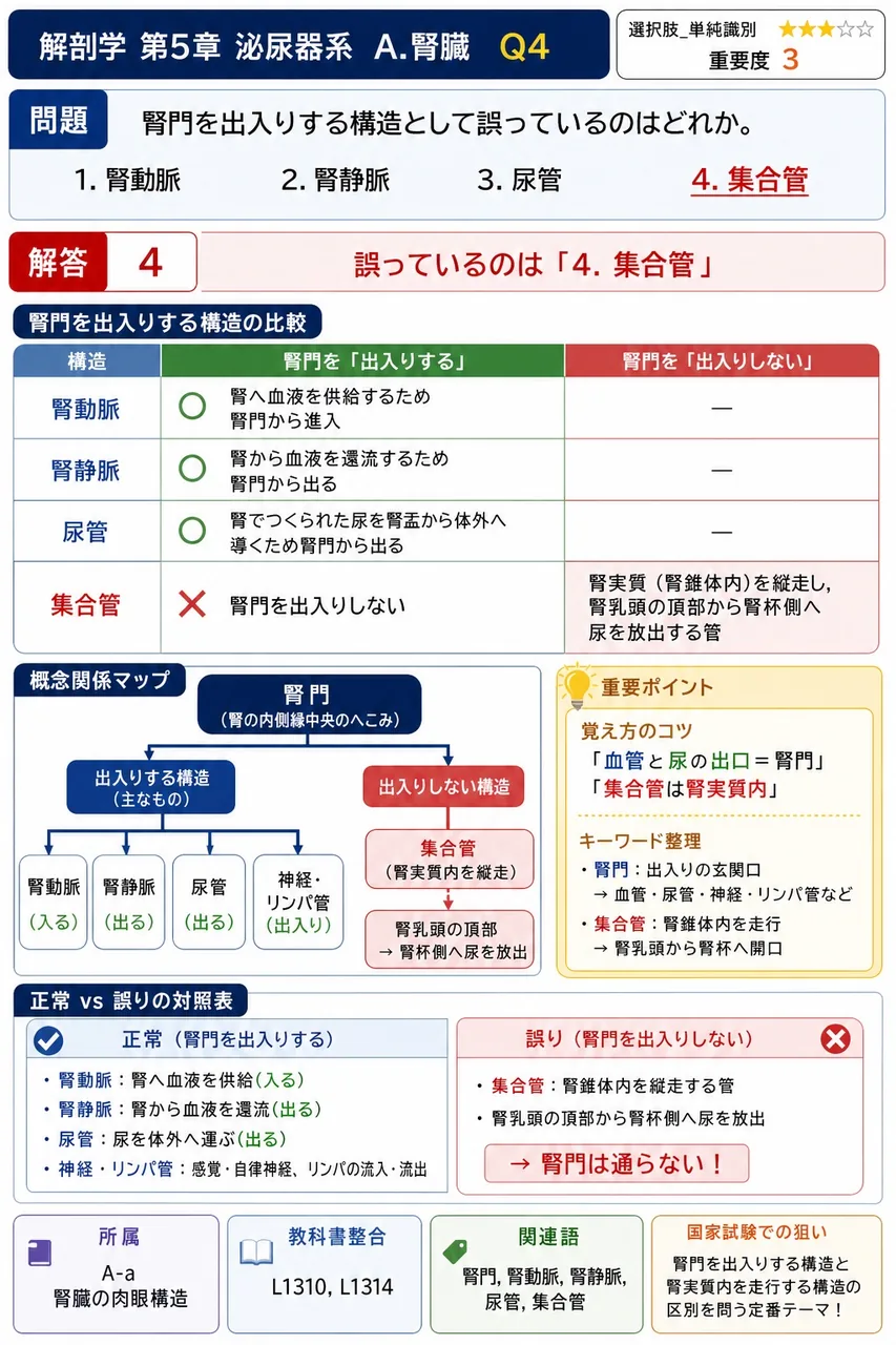 尿管の生理的狭窄部位は何ヶ所あるか。 解説図