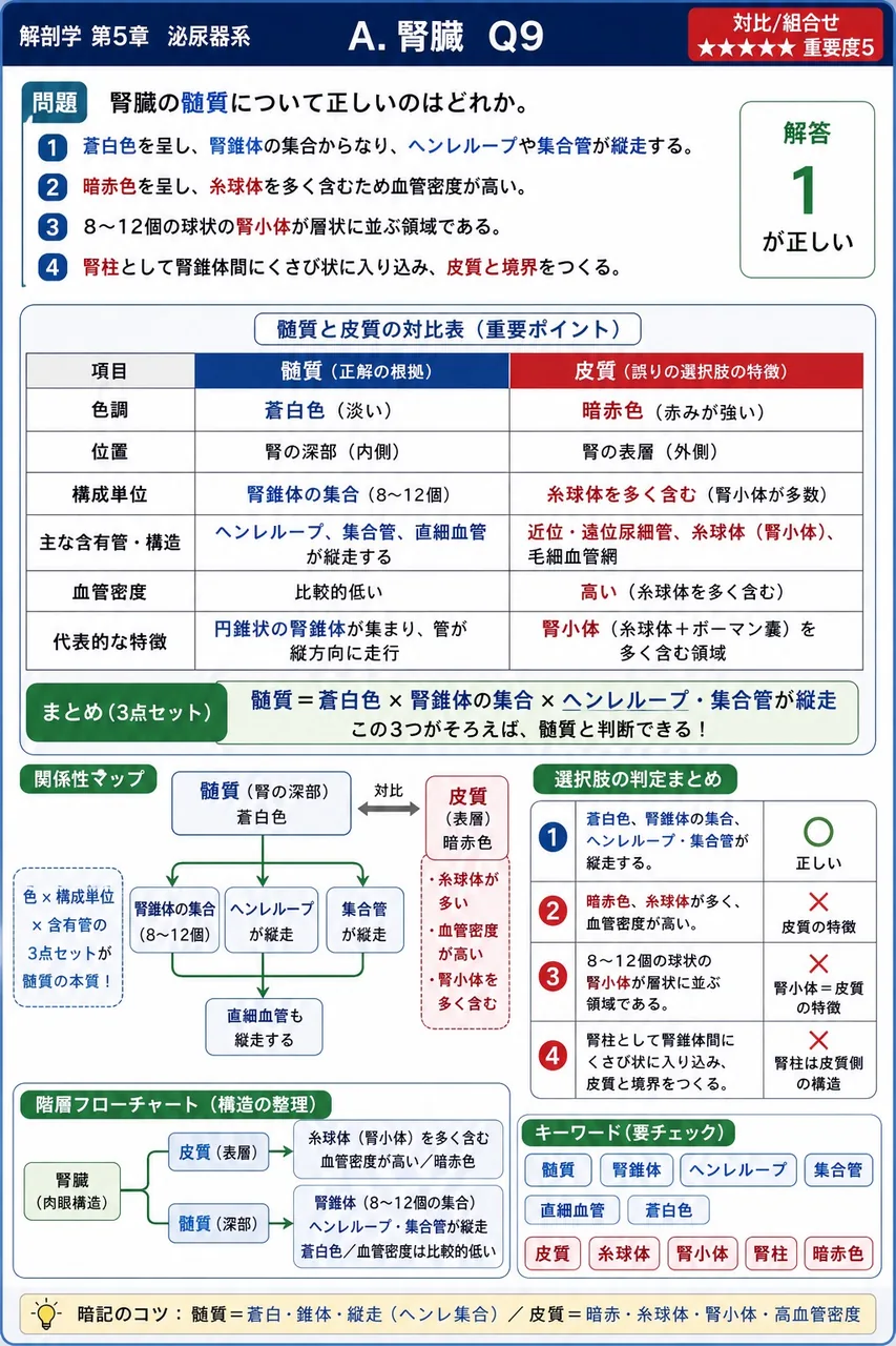 尿管の生理的狭窄部のうち、最も上方に位置するのはどれか。 解説図