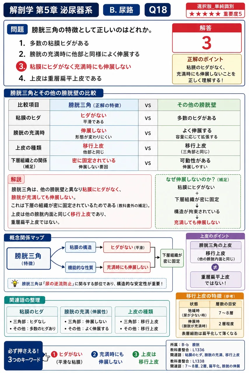 膀胱が収縮しているときと充満しているときの移行上皮の層数の組合せとして正しいのはどれか。 解説図