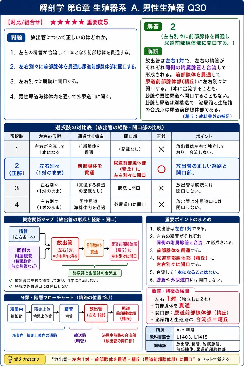 射精管について正しいのはどれか。 解説図