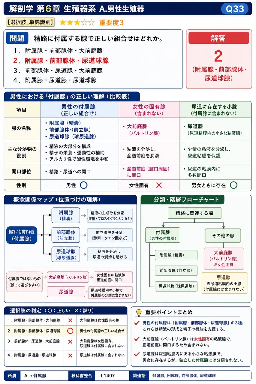 精路に付属する腺で正しい組合せはどれか。 解説図