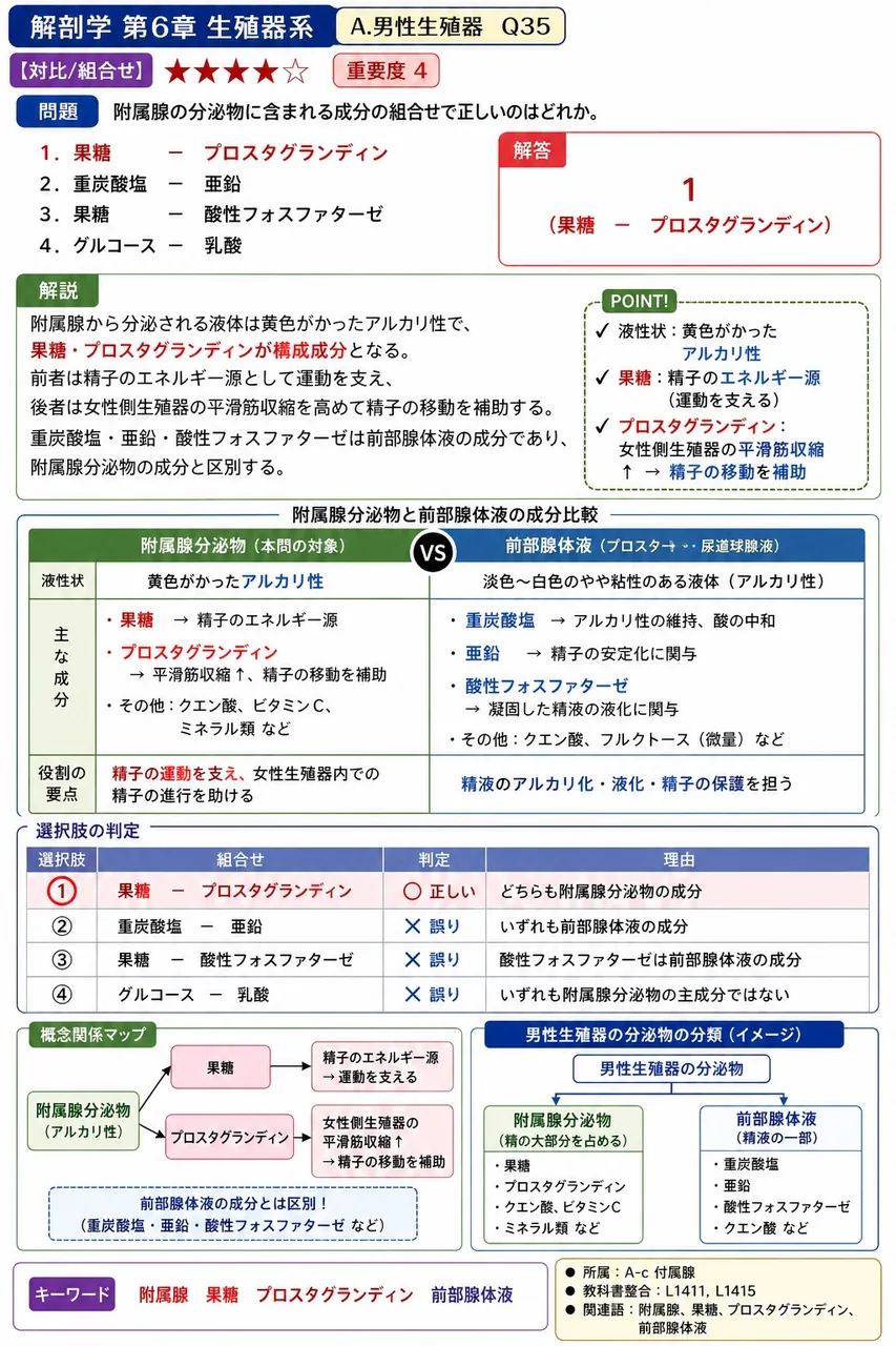 精嚢の分泌物に含まれる成分の組合せで正しいのはどれか。 解説図