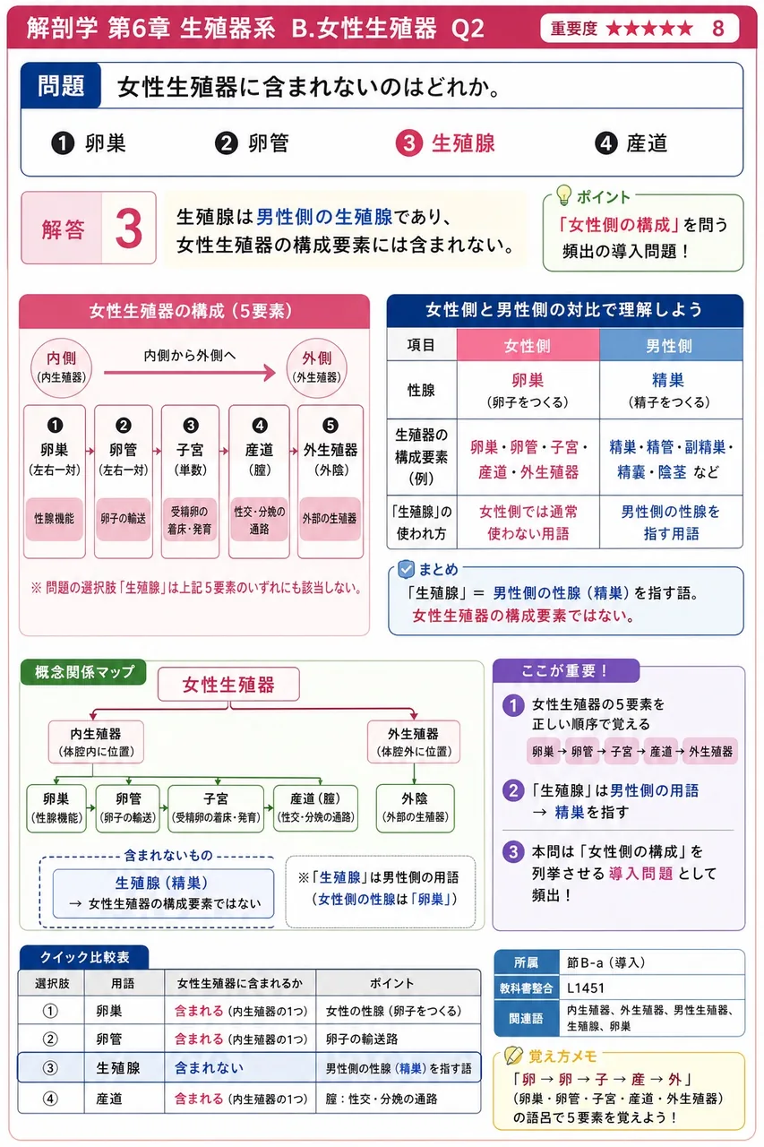 女性生殖器に含まれないのはどれか。 解説図