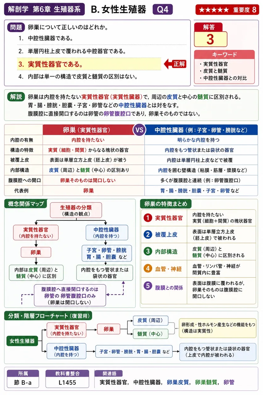 卵巣について正しいのはどれか。 解説図