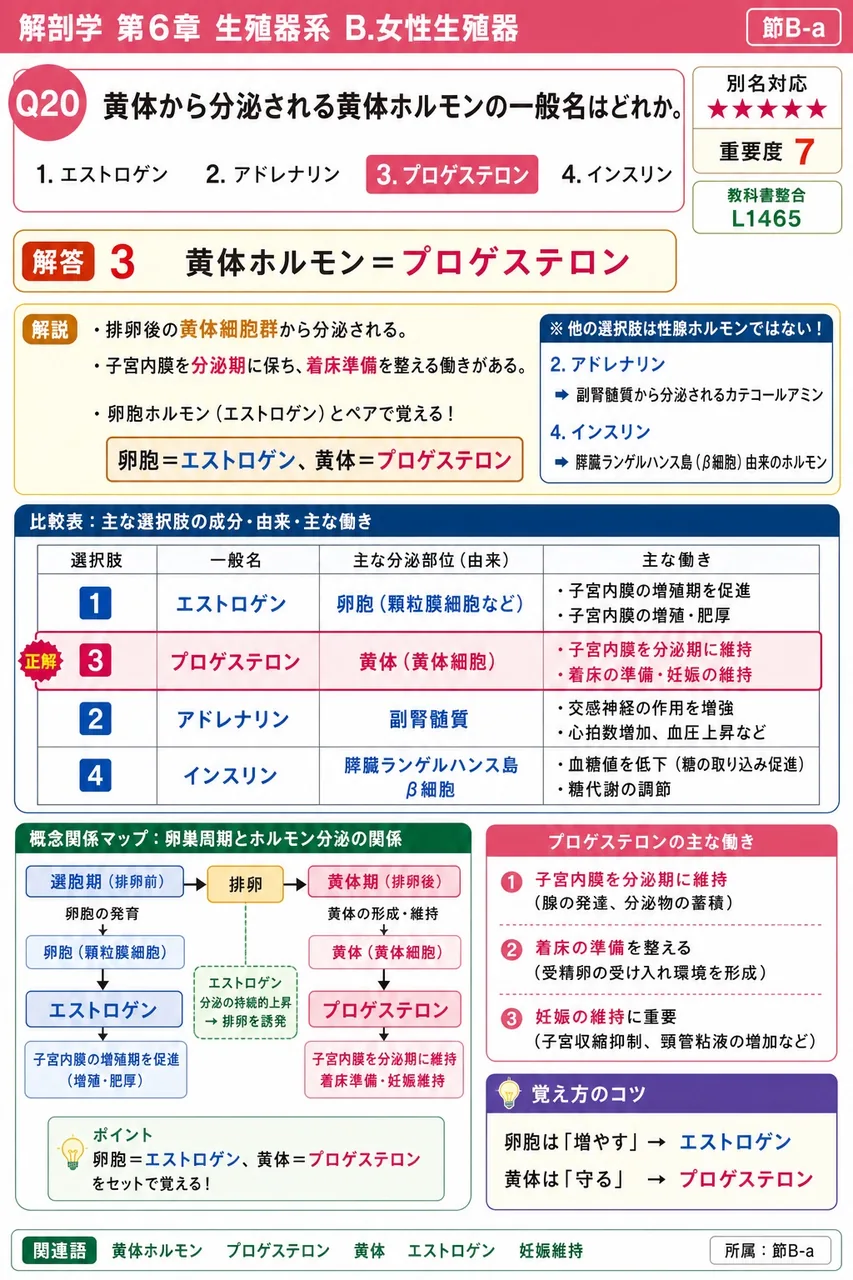 黄体から分泌される黄体ホルモンの一般名はどれか。 解説図