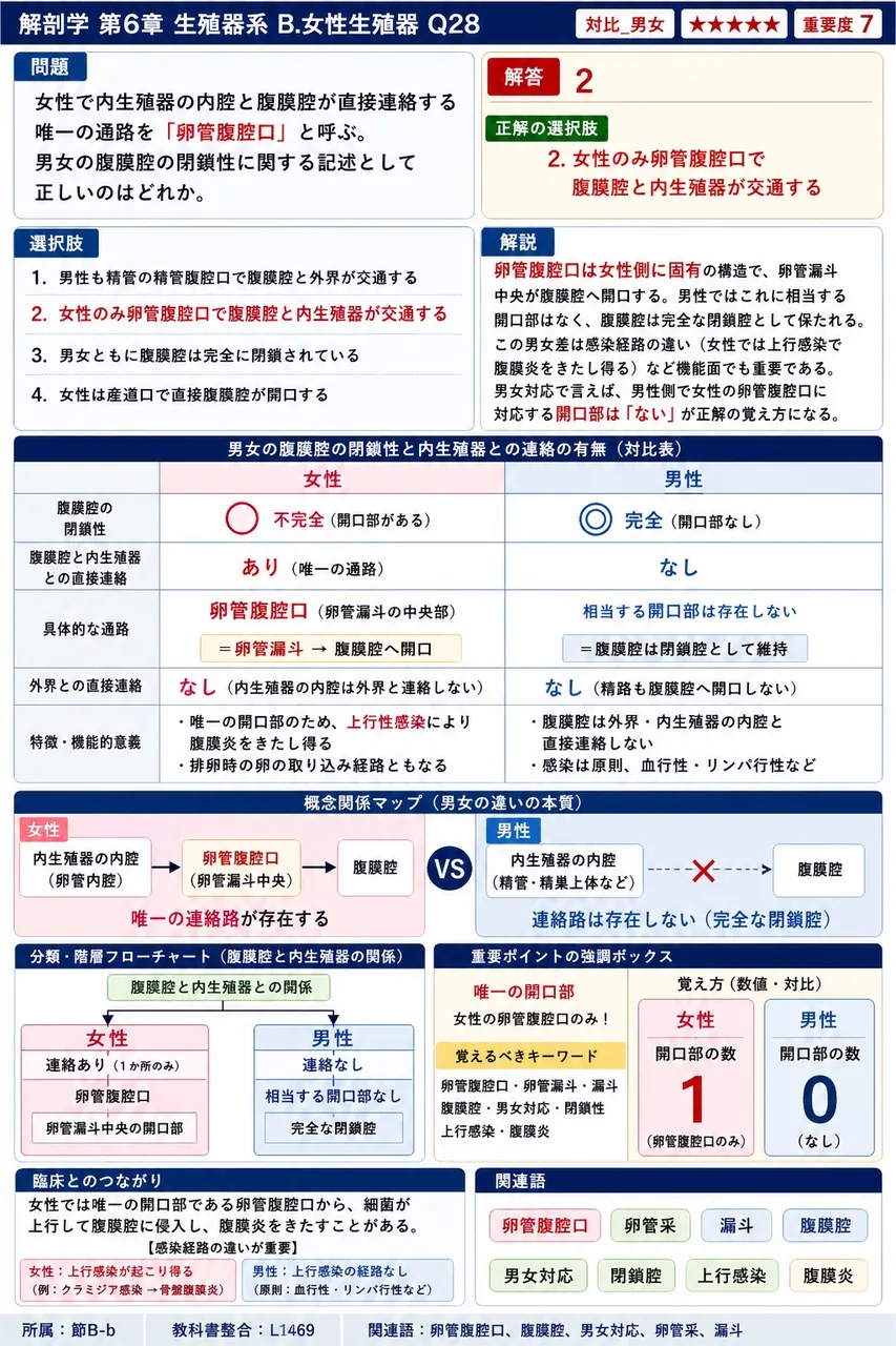 女性で内生殖器の内腔と腹膜腔が直接連絡する唯一の通路を「卵管腹腔口」と呼ぶ。男女の腹膜腔の閉鎖性に関する記述として正しいのはどれか。 解説図