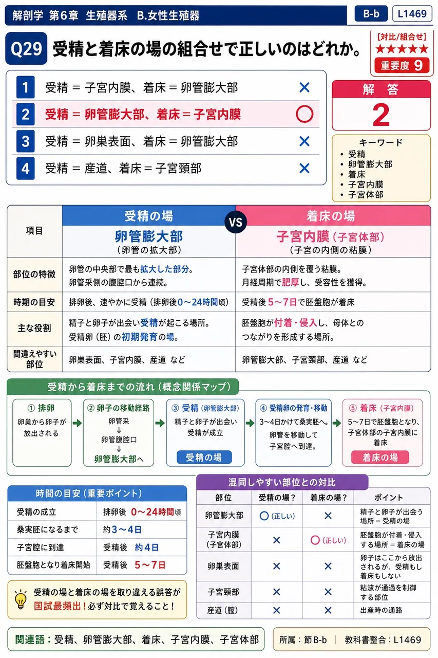 受精と着床の場の組合せで正しいのはどれか。 解説図