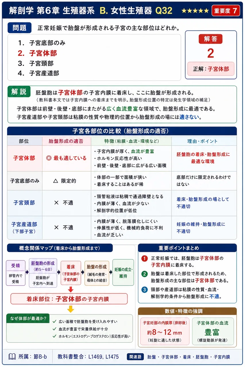 正常妊娠で胎盤が形成される子宮の主な部位はどれか。 解説図