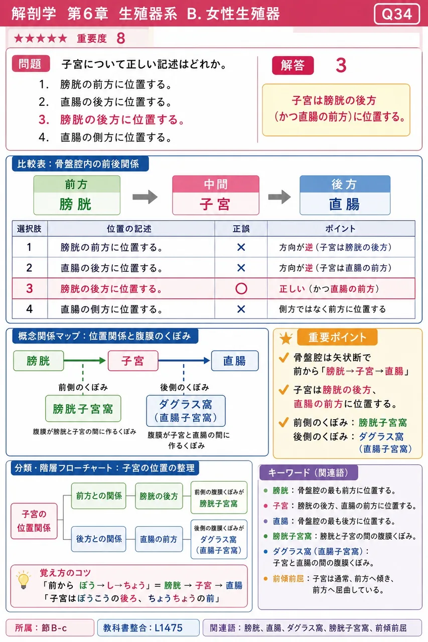 子宮について正しい記述はどれか。 解説図