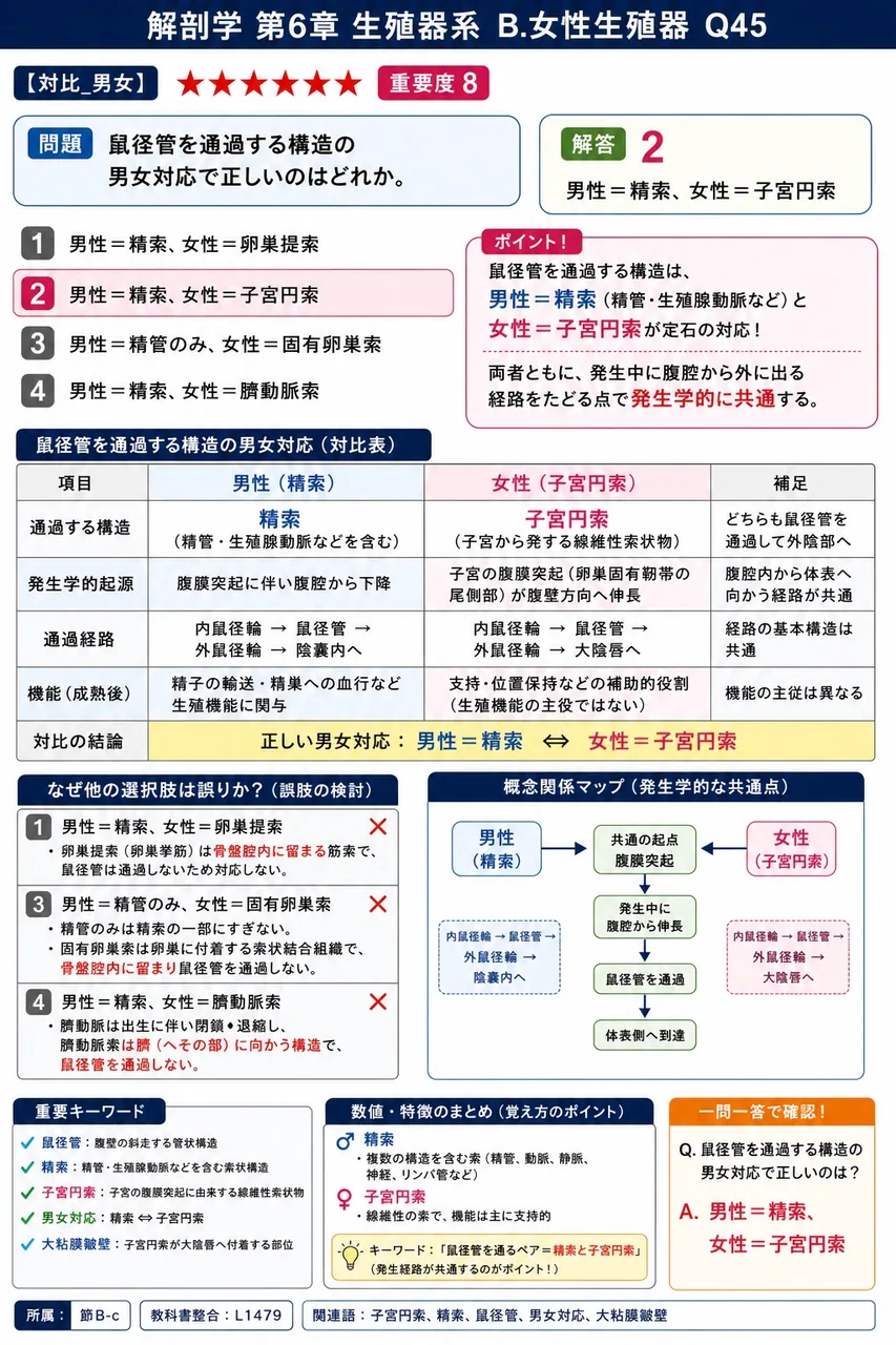 鼠径管を通過する構造の男女対応で正しいのはどれか。 解説図