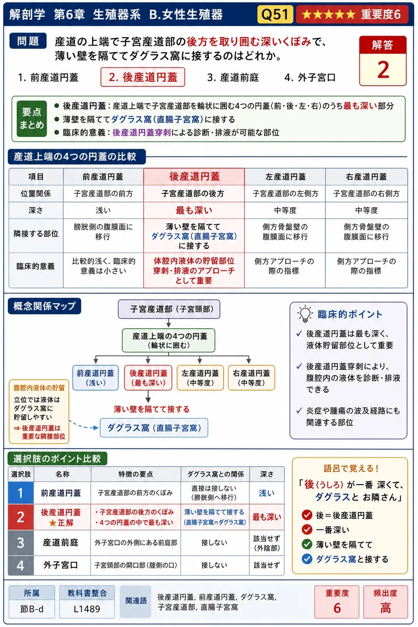 膣の上端で子宮膣部の後方を取り囲む深いくぼみで、薄い壁を隔ててダグラス窩に接するのはどれか。 解説図