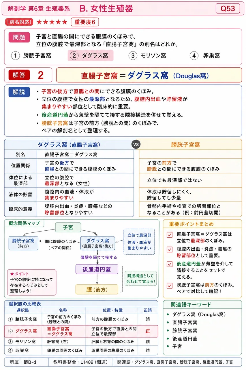 子宮と直腸の間にできる腹膜のくぼみで、立位の腹腔で最深部となる「直腸子宮窩」の別名はどれか。 解説図
