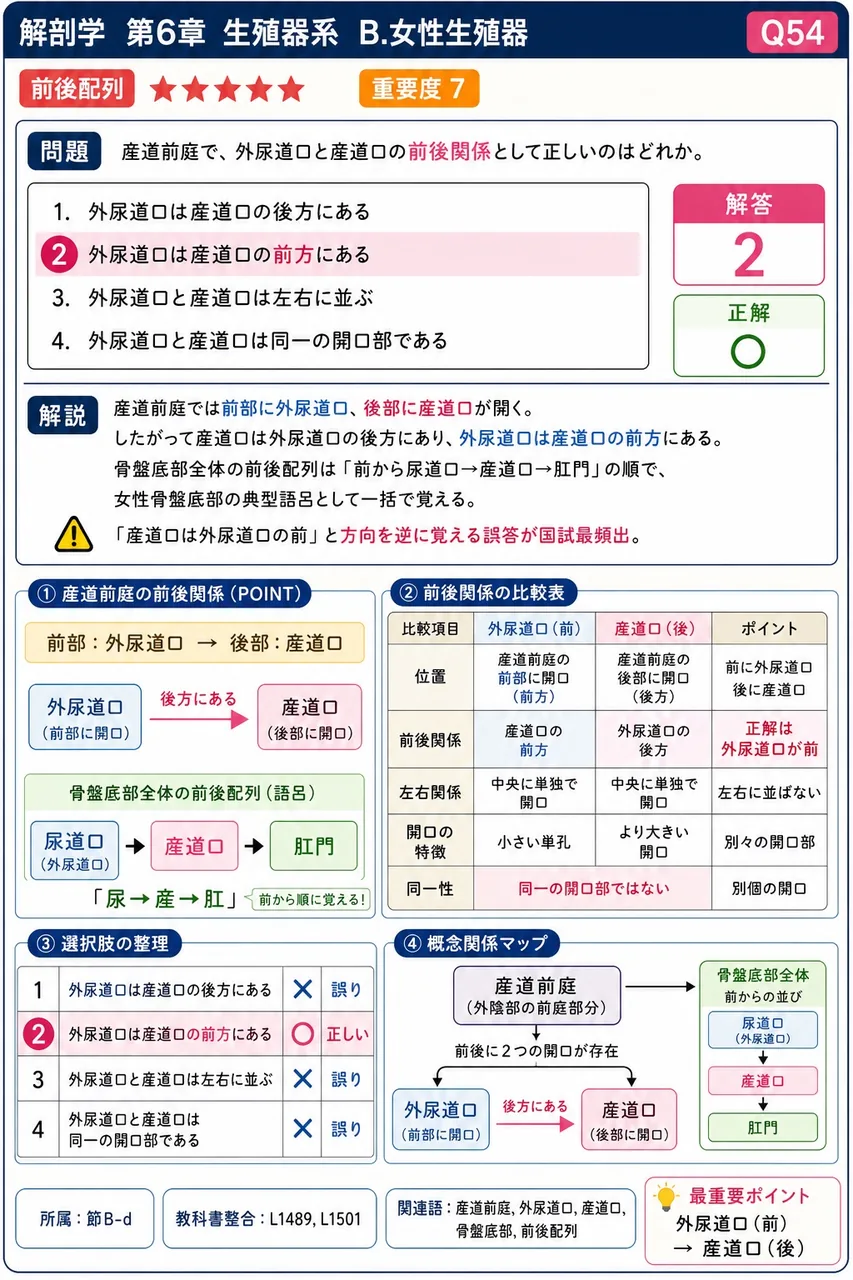 膣前庭で、外尿道口と膣口の前後関係として正しいのはどれか。 解説図