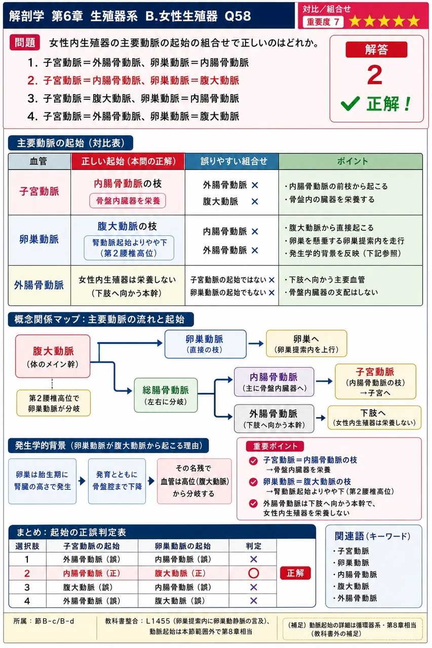 女性内生殖器の主要動脈の起始の組合せで正しいのはどれか。 解説図