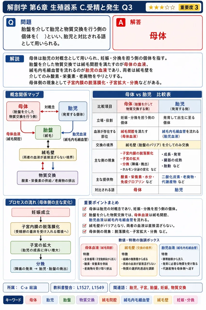 胎盤を介して胎児と物質交換を行う側の個体を( )といい、胎児と対比される語として用いられる。 解説図