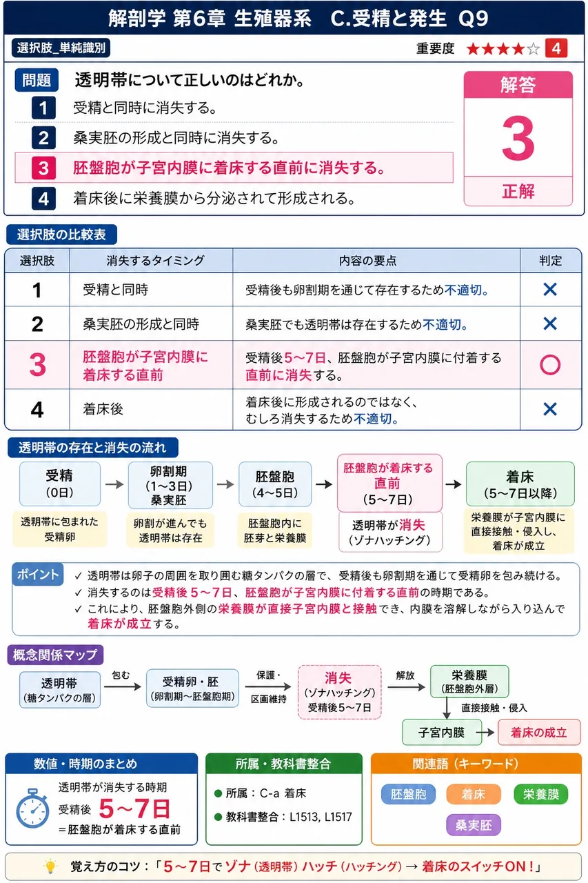 透明帯について正しいのはどれか。 解説図