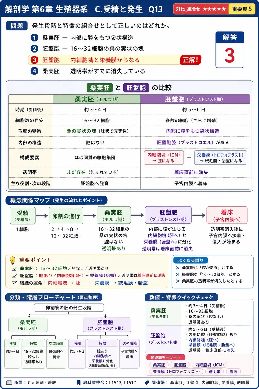 発生段階と特徴の組合せとして正しいのはどれか。 解説図