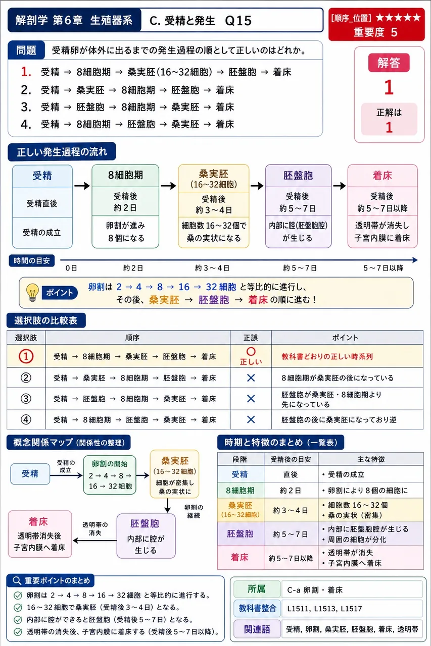 受精卵が体外に出るまでの発生過程の順として正しいのはどれか。 解説図