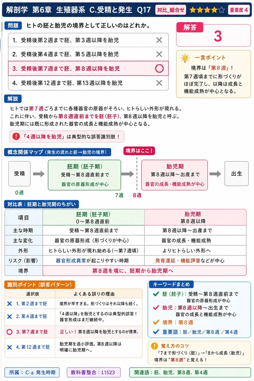 ヒトの胚と胎児の境界として正しいのはどれか。 解説図