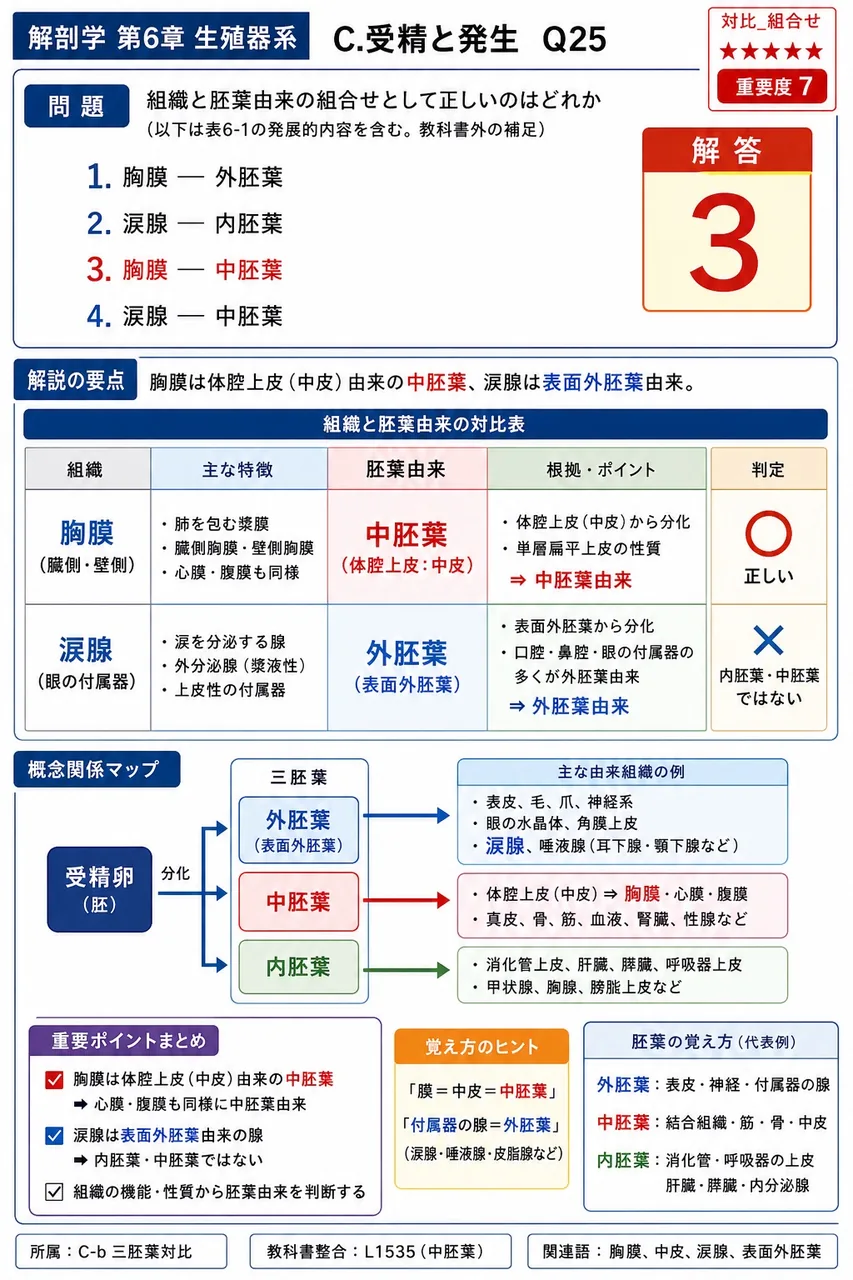 組織と胚葉由来の組合せとして正しいのはどれか(以下は表6-1の発展的内容を含む。教科書外の補足)。 解説図