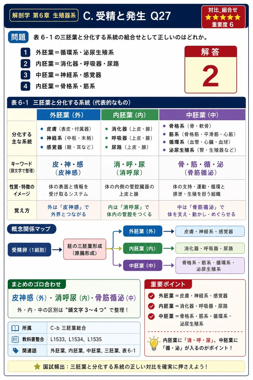 表6-1の三胚葉と分化する系統の組合せとして正しいのはどれか。 解説図