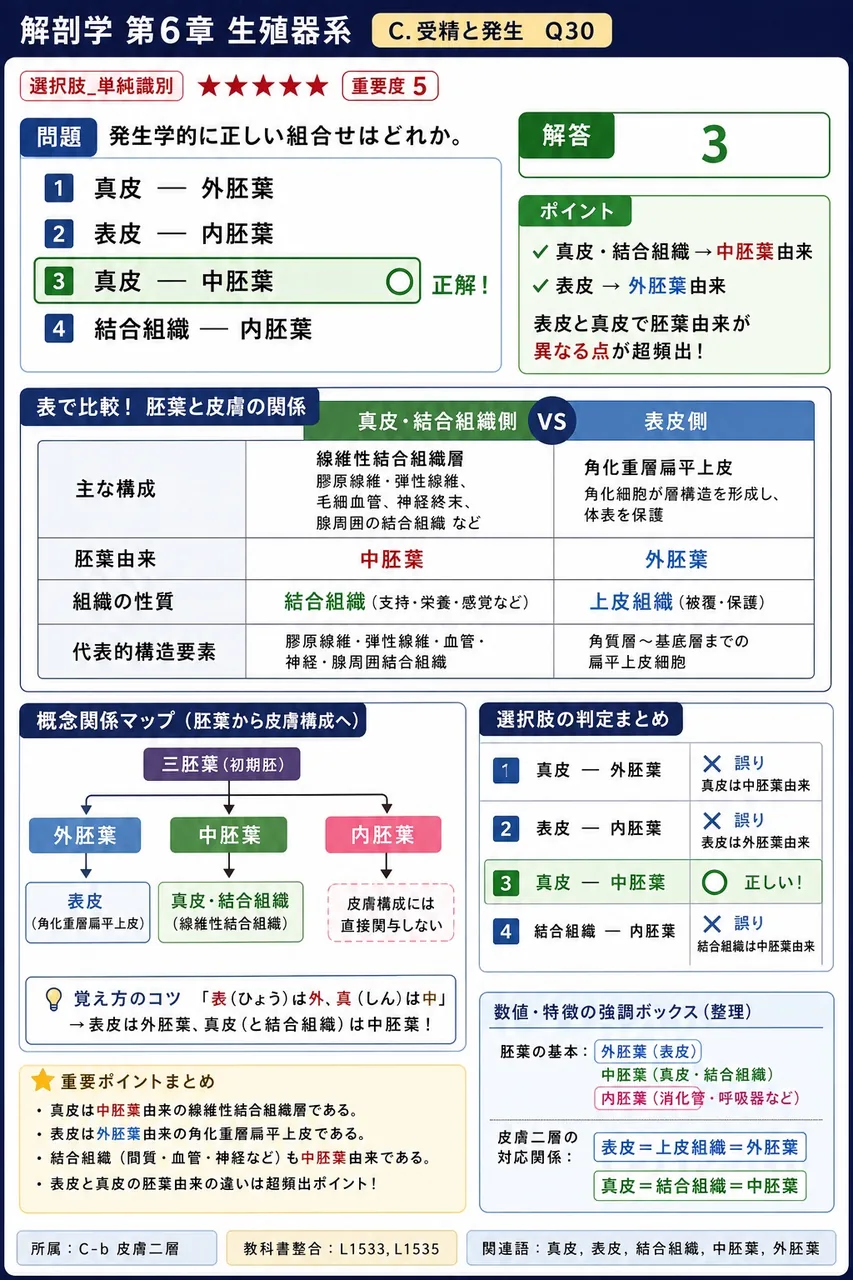 発生学的に正しい組合せはどれか。 解説図