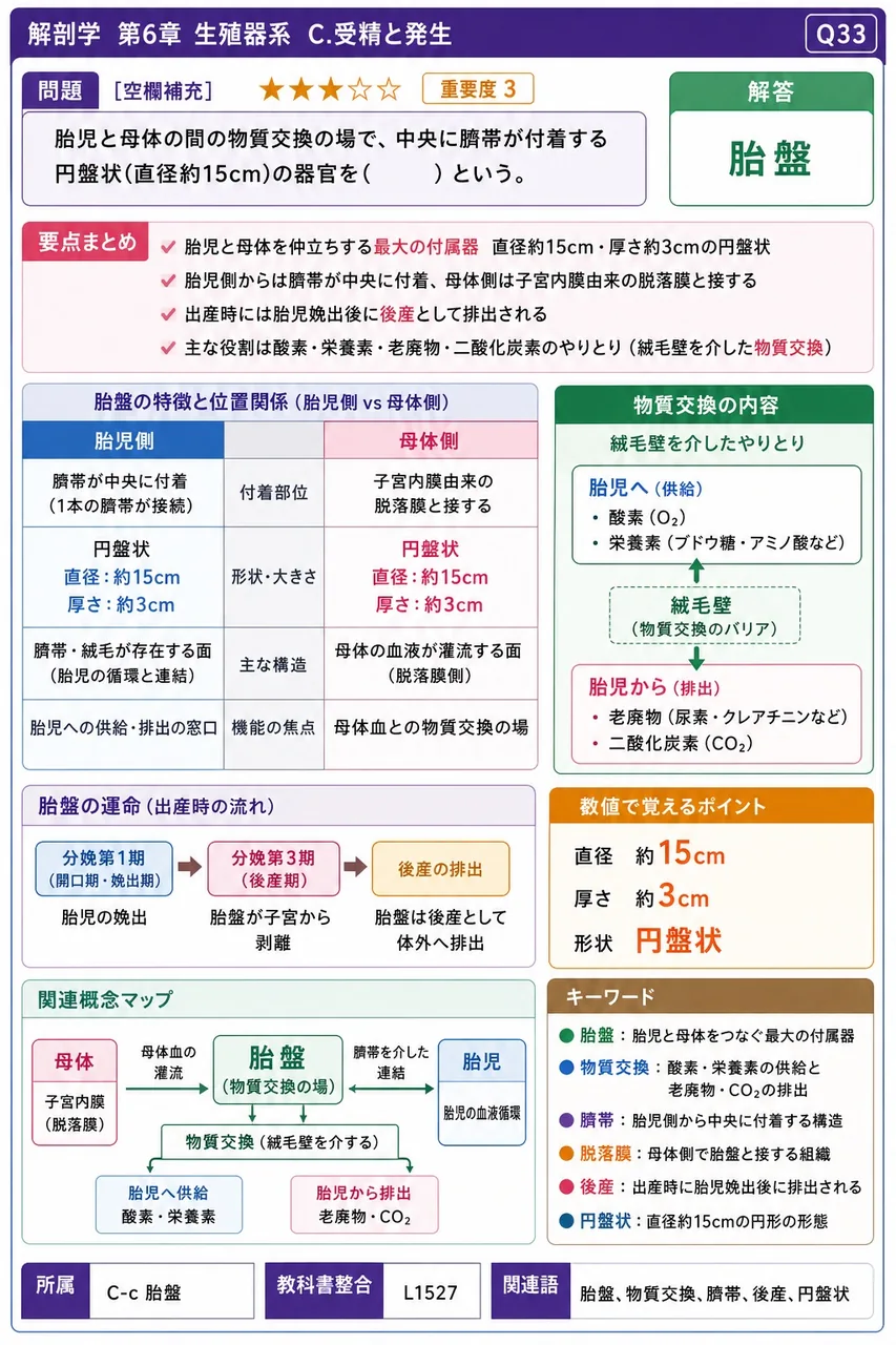 胎児と母体の間の物質交換の場で、中央に臍帯が付着する円盤状(直径約15cm)の器官を( )という。 解説図