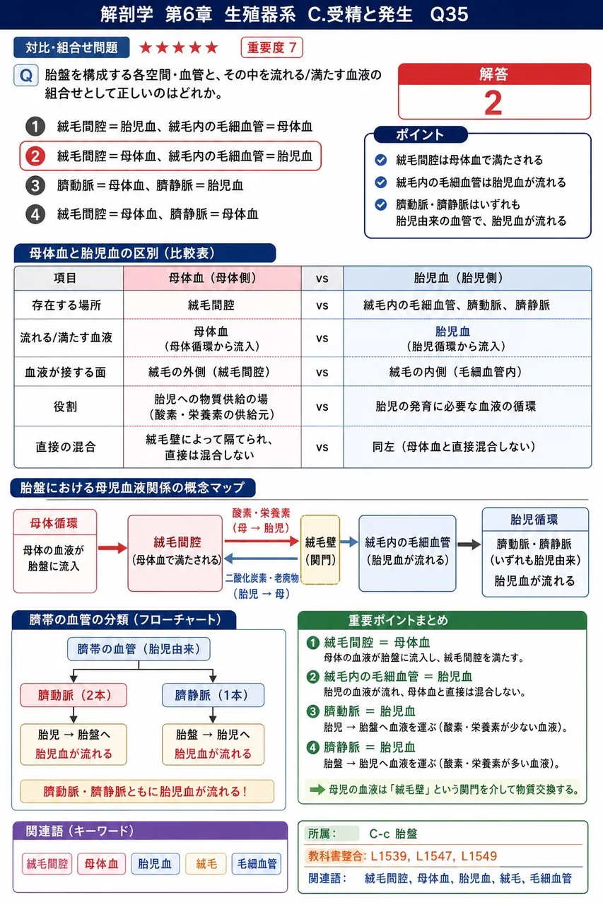 胎盤を構成する各空間・血管と、その中を流れる/満たす血液の組合せとして正しいのはどれか。 解説図