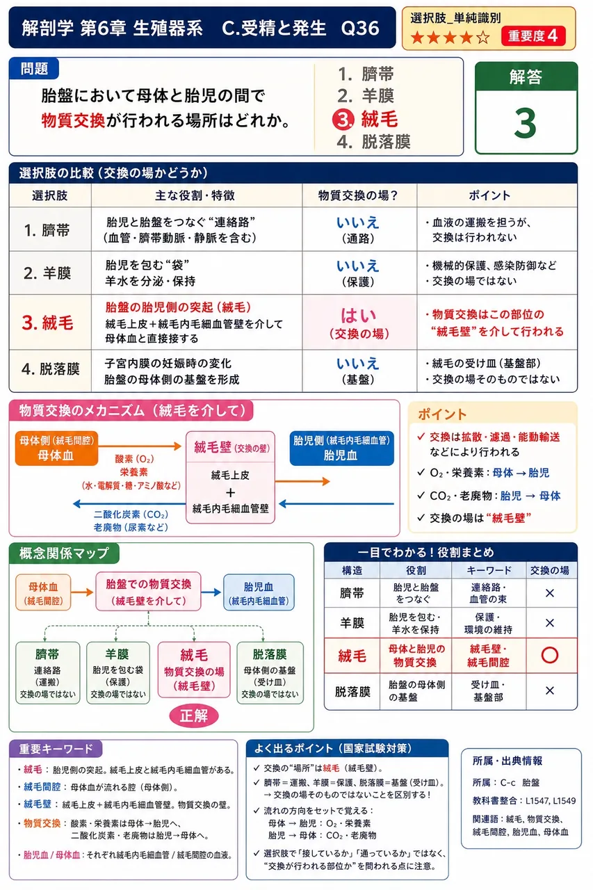 胎盤において母体と胎児の間で物質交換が行われる場所はどれか。 解説図