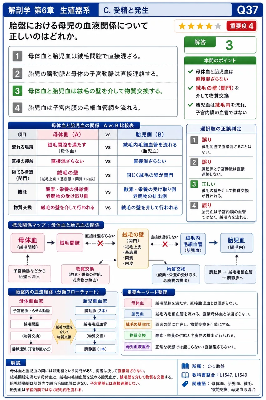 胎盤における母児の血液関係について正しいのはどれか。 解説図